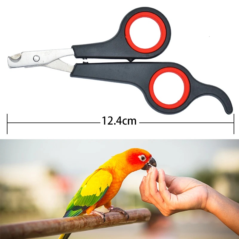 Gunting Kuku Burung Beo 12cm,  - Grooming Scissors ulasan dan harga